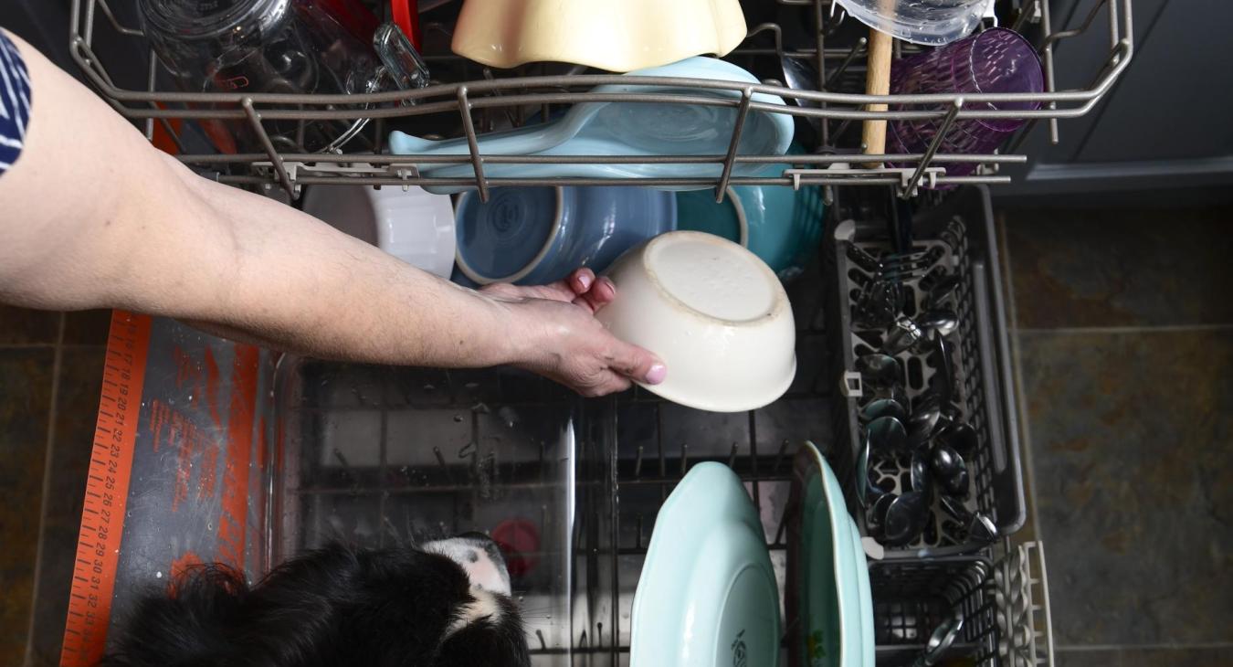 dishwasher