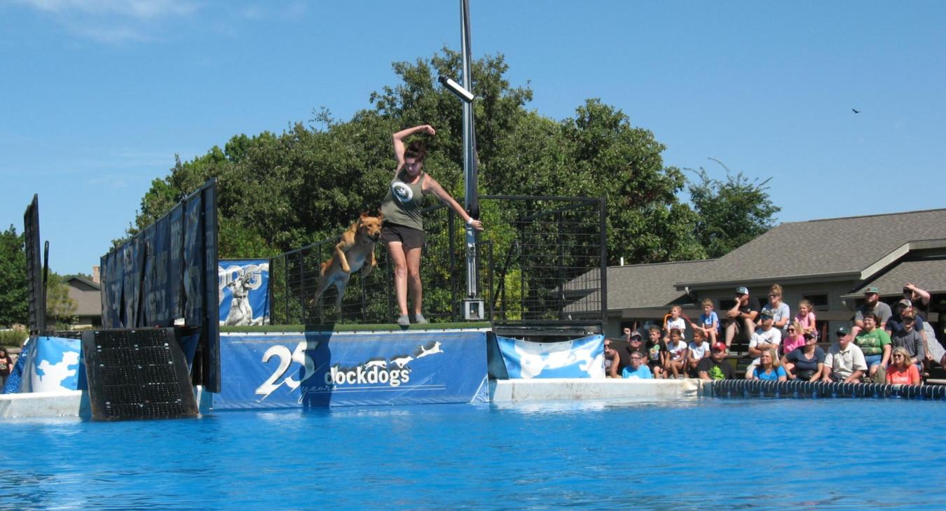 dock dog competition