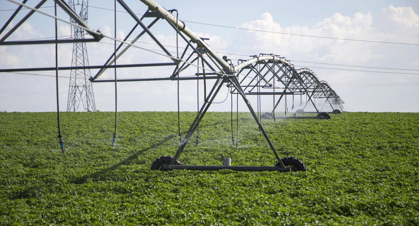 Irrigation system