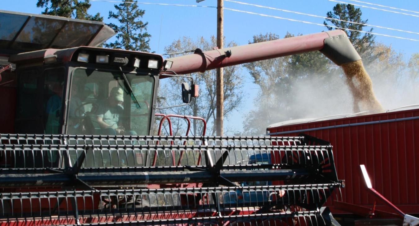 soybean harvest
