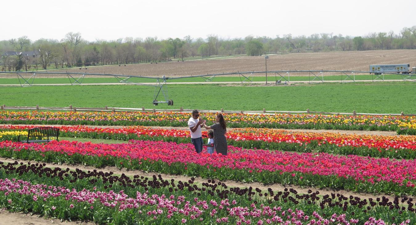 visitors at Nelson Produce Farm