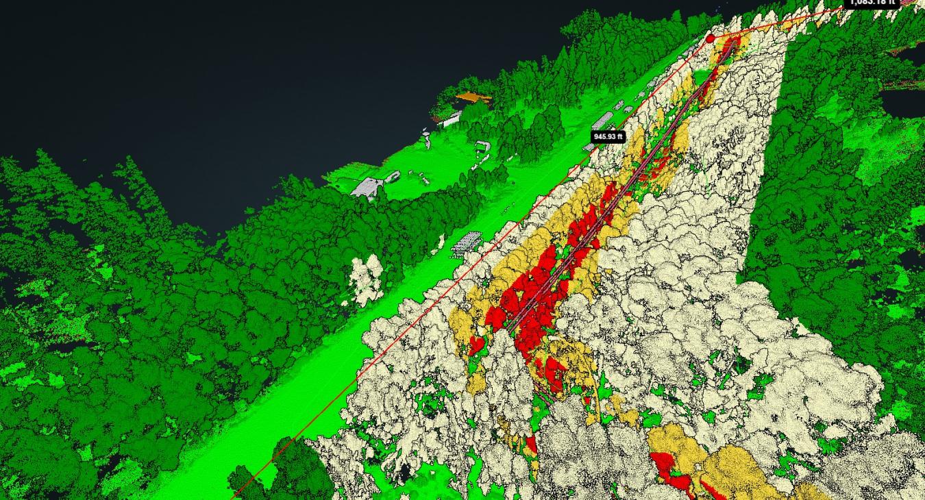 LIDAR vegetation image